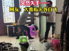 虎头蜂泡酒失手引发惊险与思考