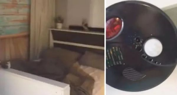 男子因工作电脑藏64G色情视频遭开除，职场道德引发警示钟声