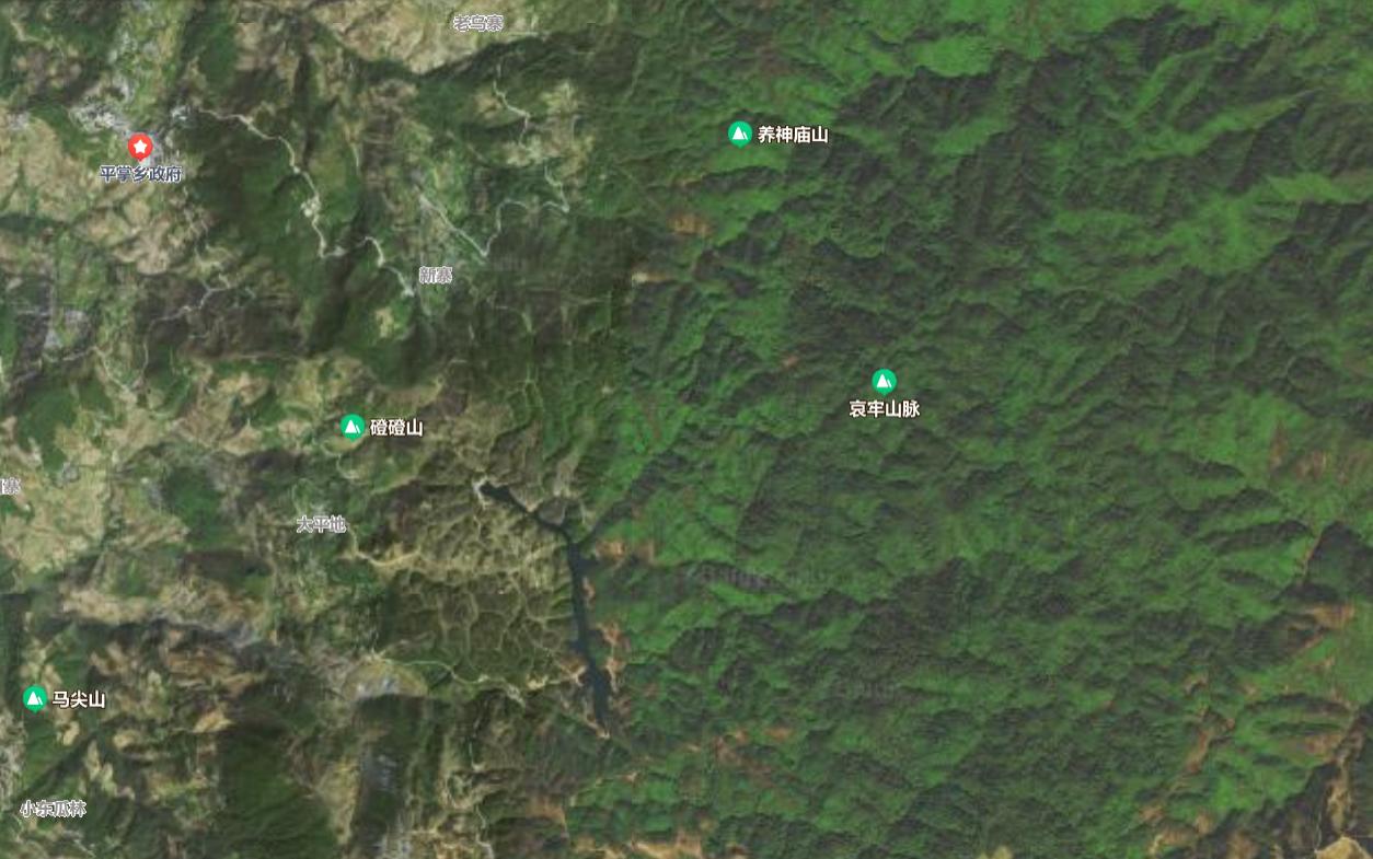 哀牢山神秘鸟鸣与科考之旅，鸟叫声如人类般婉转交流