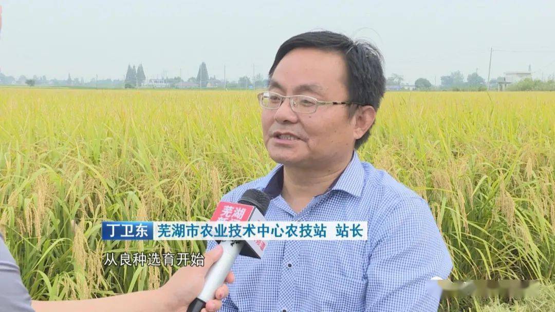 全国秋粮收获高峰，金黄希望与温馨故事的时节