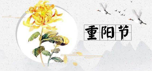 重阳佳节秋意浓，传承与庆祝的温馨时刻