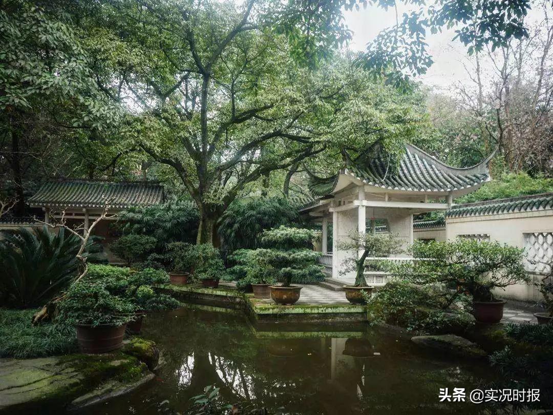 韩剧用重庆照片冒充首尔，背后的故事与文化交融探究