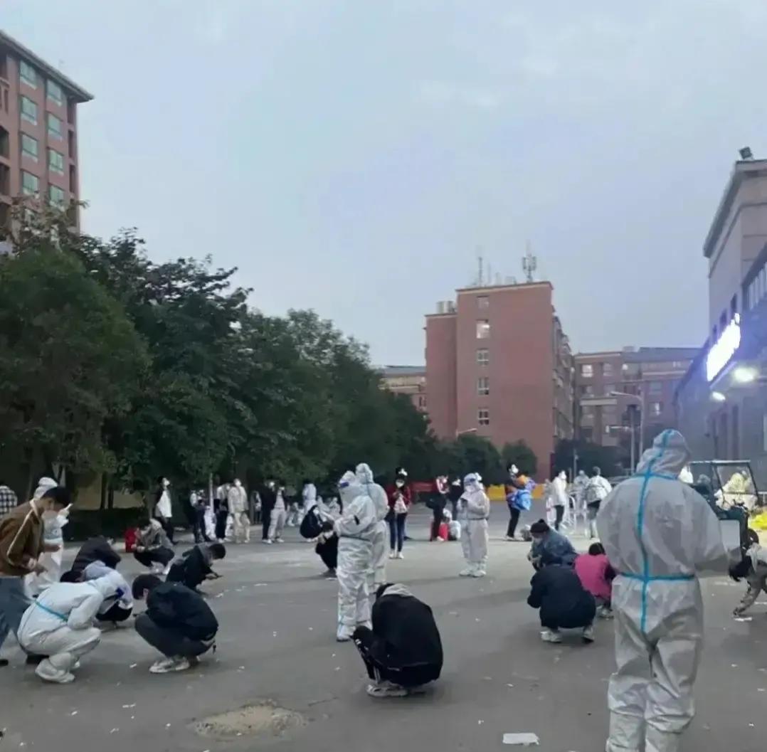 郑州疫情最新动态，温馨日常故事传递希望与力量